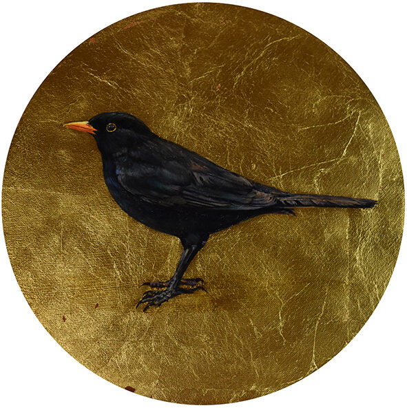 Mirlo. Óleo sobre lienzo y pan de oro. 28cm. diámetro. DISPONIBLE 