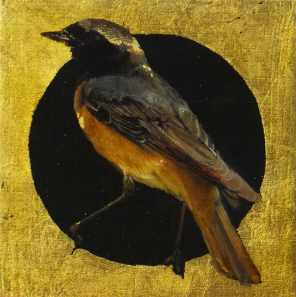 Colirrojo tizón. Óleo sobre tabla y pan de oro. 15x15cm..