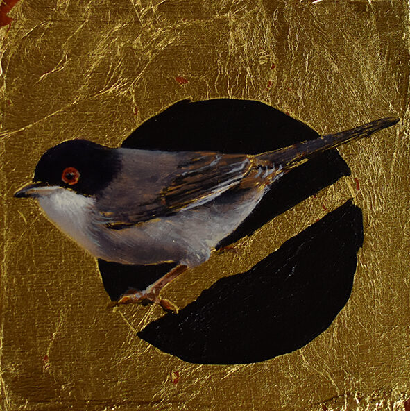 Curruca macho. Óleo sobre tabla y pan de oro. 12x12cm.