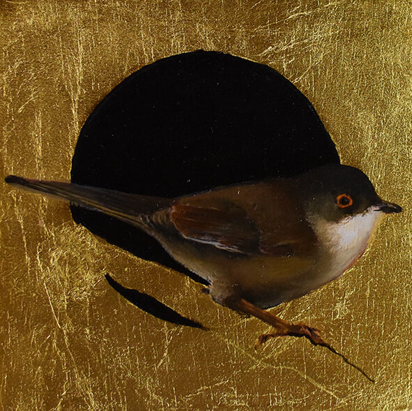 Curruca hembra. Óleo sobre tabla y pan de oro. 12x12cm.