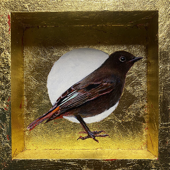 Colirrojo tizón hembra. Óleo sobre tabla y pan de oro. 12x12cm. DISPONIBLE