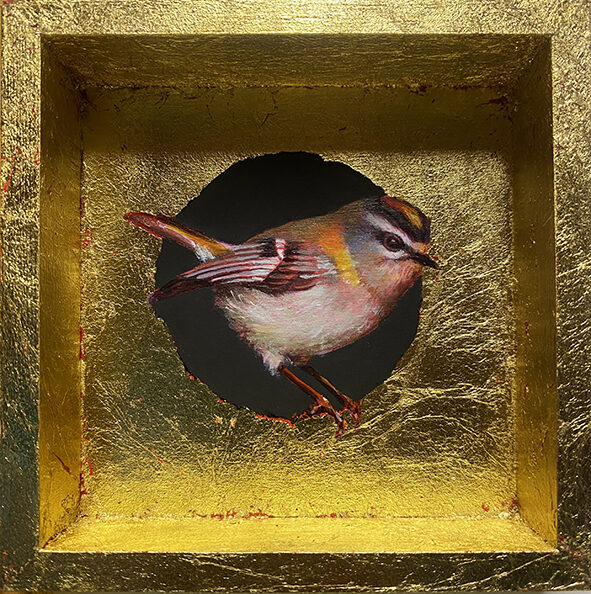 Reyezuelo. Óleo sobre tabla y pan de oro. 12x12. DISPONIBLE 