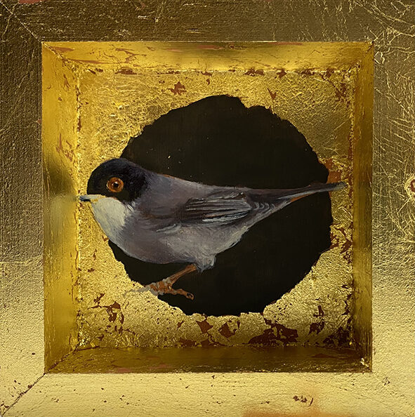 Curruca macho. Óleo sobre tabla y pan de oro. 12x12cm.