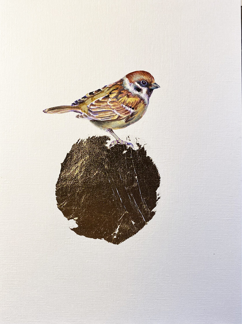 Gorrión. Óleo sobre papel y pan de oro