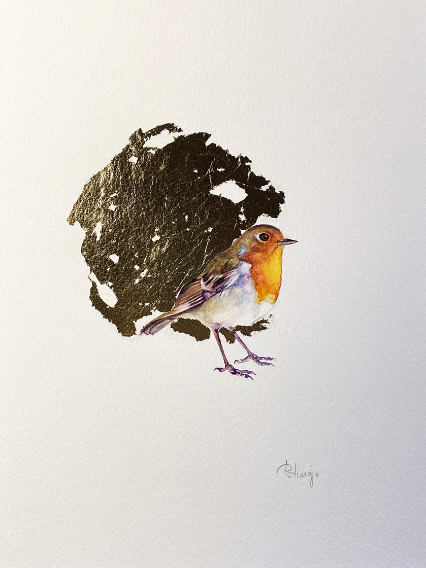 Petirrojo. Óleo sobre papel y pan de oro. 