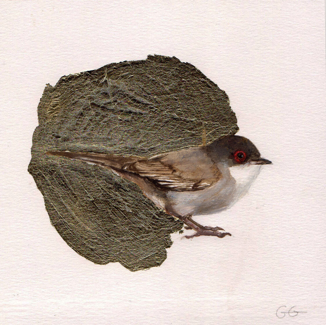Curruca hembra . Óleo sobre papel y pan de oro. 
