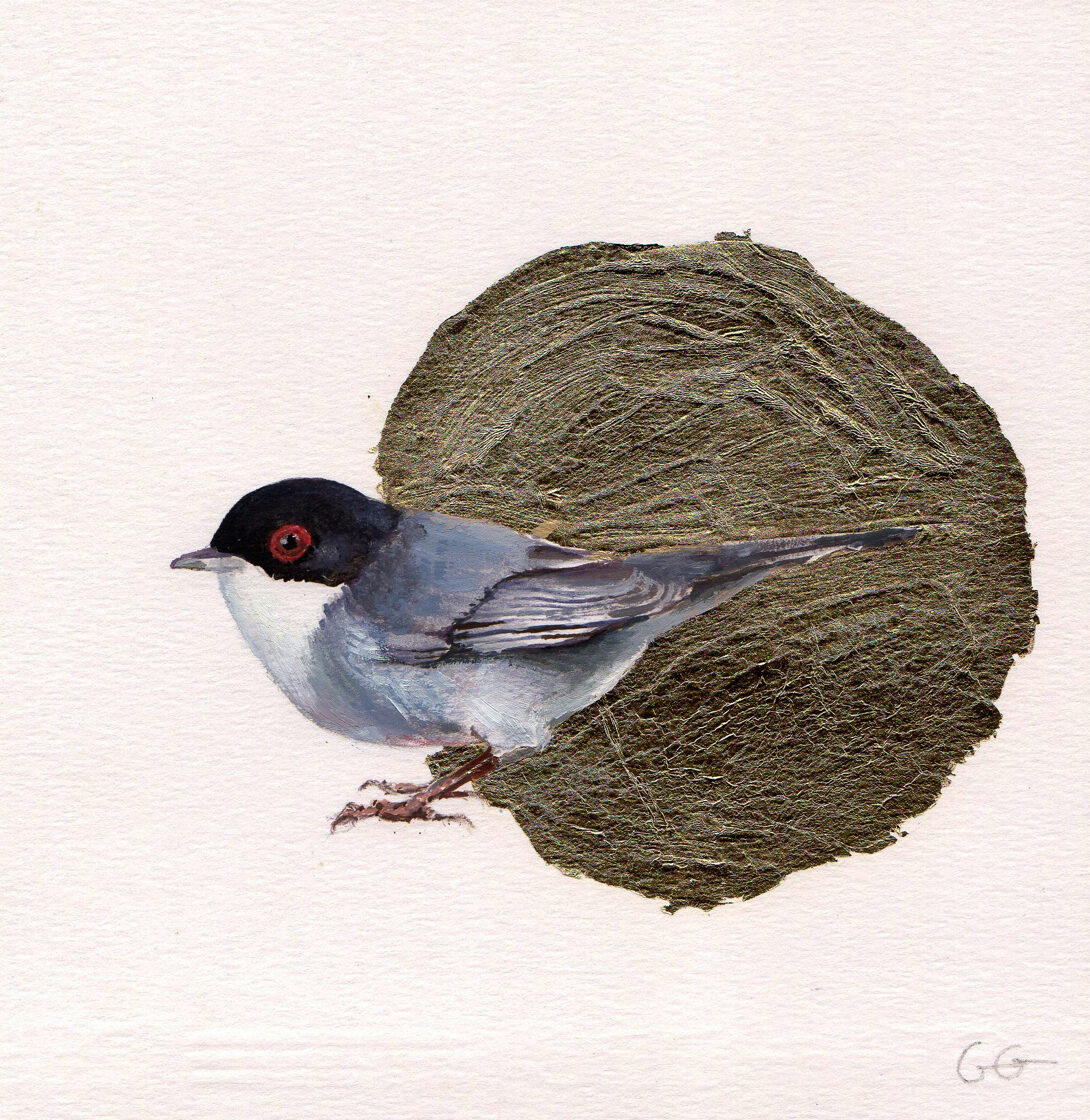 Curri a macho. Óleo sobre papel y pan de oro