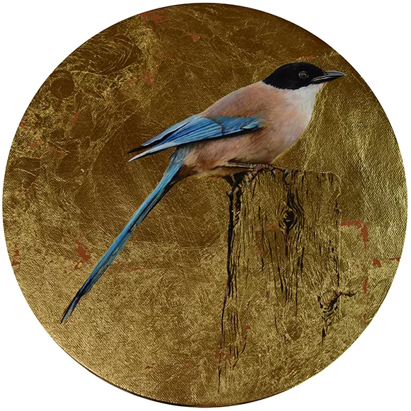 Rabilarga.Óleo sobre lienzo y pan de oro. 28cm diámetro 