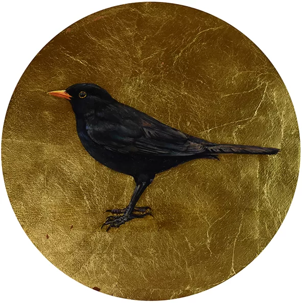 Mirlo. Óleo sobre lienzo y pan de oro. 28cm. diámetro. DISPONIBLE 
