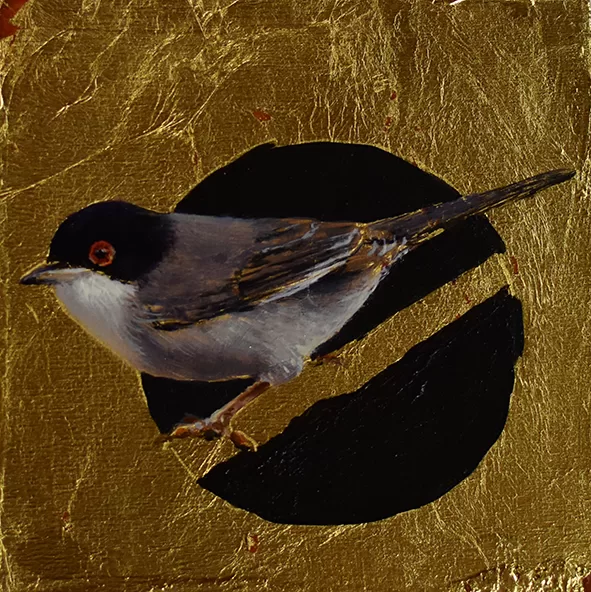 Curruca macho. Óleo sobre tabla y pan de oro. 12x12cm.