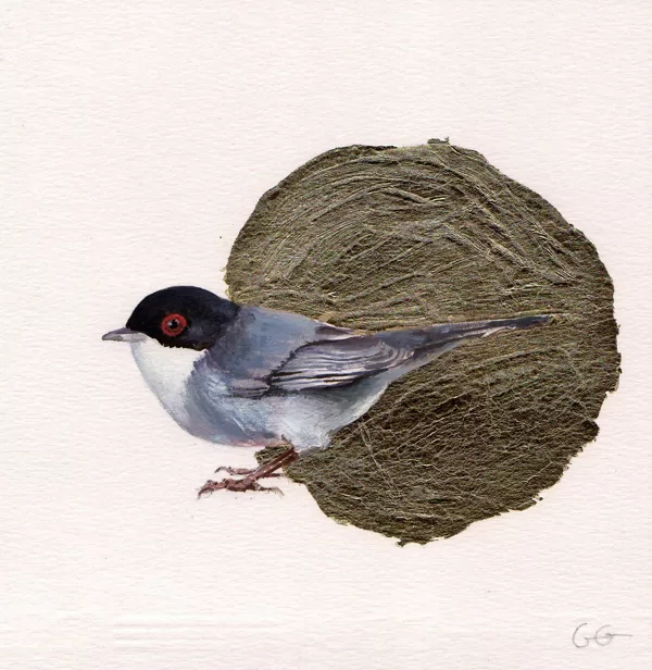 Curri a macho. Óleo sobre papel y pan de oro